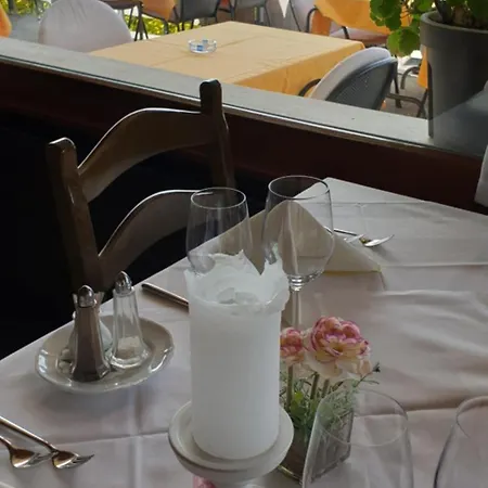 酒店 Baeren-krattigen *