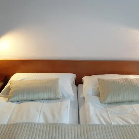 Baeren-krattigen Hotel