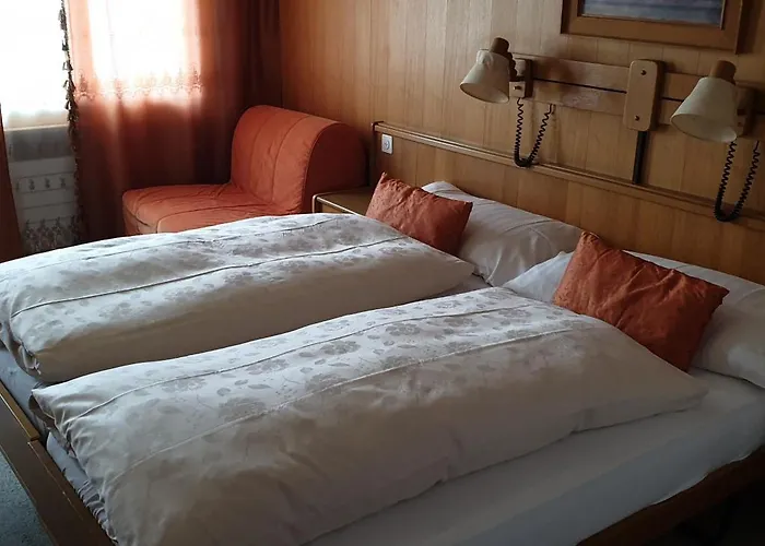 Baeren-krattigen Hotel